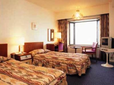 Hikone View Hotel Esterno foto